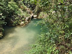 -华蓥山天意谷景区