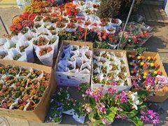 -恒达综合农贸市场(黄山路店)