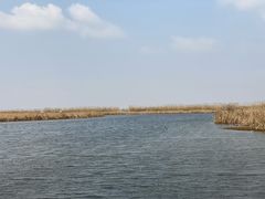 -宁波杭州湾国家湿地公园