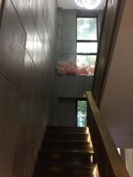 点击看大图 -小阿福儿童摄影(光谷时代广场店)