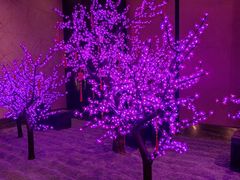 -长沙富力万达文华酒店