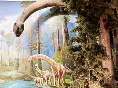 -陕西自然博物馆