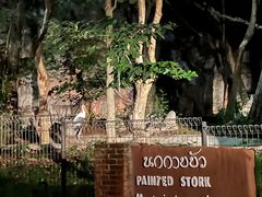 -清迈夜间动物园