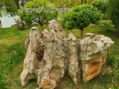 -雁滩公园