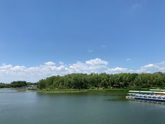 -大兴滨河森林公园