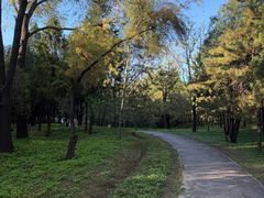 -森林公园(尖草坪区)