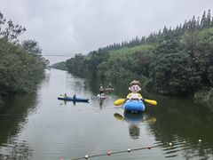 -黄海国家森林公园