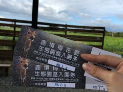 -鹿境梅花鹿生态园区