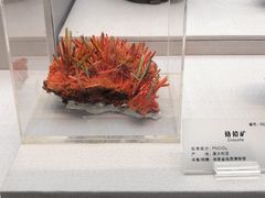 -湖南省地质博物馆