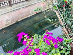 -东钱湖旅游度假区