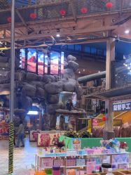 -卡通尼·Safari非洲探索乐园·生日会(金桥国际商业广场店)