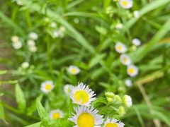 -龙洞风景区-藏龙涧