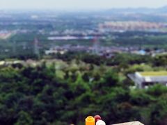 -紫云台香草园