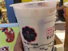 -宁茶·西宁特色奶茶(北家姓总店)
