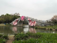-映月湖公园