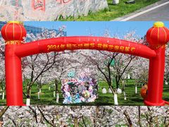 -高岚大峡谷旅游度假区