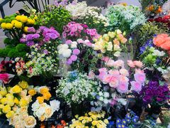 -植物学家的女儿(北马道巷店)