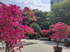 -乌山风景区