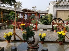 -顺德了能馆(虎门店)