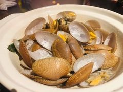 金不换炒薄壳米-陈鹏鹏潮汕菜(欢乐海岸 海边景观店)