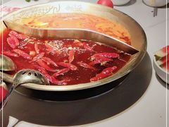 -小龙坎火锅(IFS HOT店)