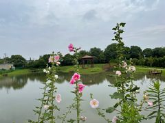 -上膳源有机农场