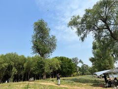 -东郊湿地公园