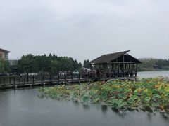 -溱湖国家湿地公园