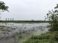 -盘龙城国家考古遗址公园