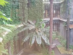 -福田家月子中心 产后 月嫂(市立母子医院店)