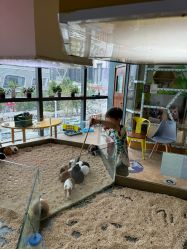 -未来动物城主题公园(正弘城店)