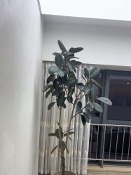 -HEYAN荷妍专业脱毛连锁机构