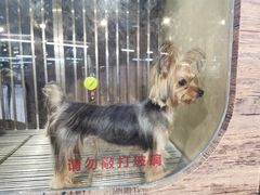 -宠物世家(仲盛世界商城店)