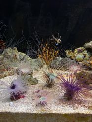 -Zoolung Zoolung动物主题公园(海信广场店)