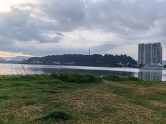 -洱海月湿地公园