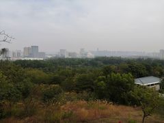 -聚龙山公园