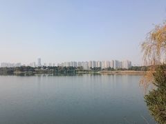 -洋湖国家湿地公园