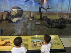 -国家自然博物馆