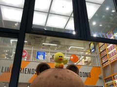 -line friends(明洞旗舰店)