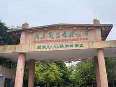 -广东茂名森林公园