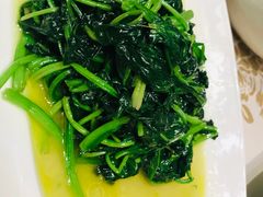 时令菠菜-昆山金鹰尚美酒店·金鹰贵宾楼