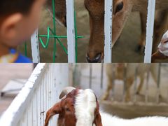 -蓝地时尚庄园(北京清河营地铁站店)