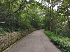-紫金山山顶公园