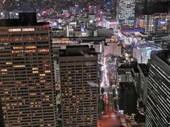 -东京都厅舍