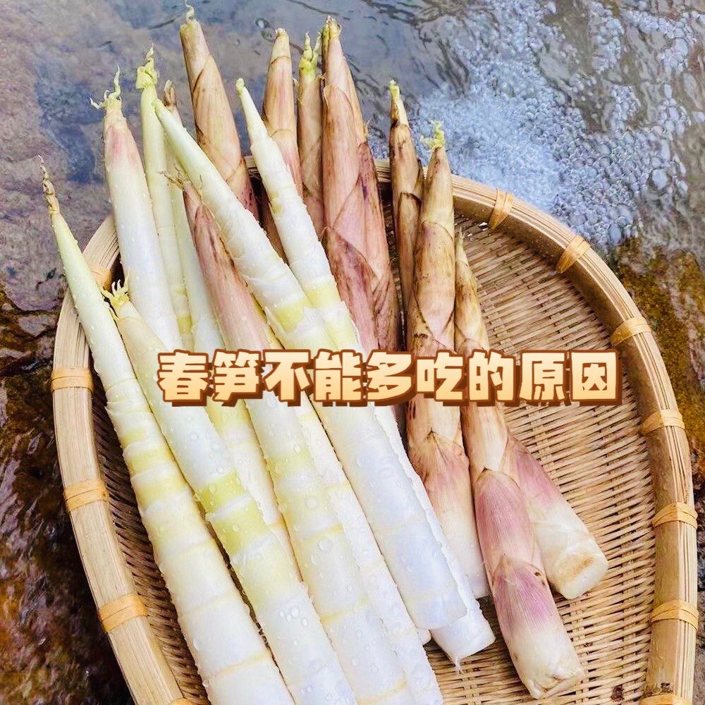 胃病为什么不能吃笋 胃病为什么不能吃笋
