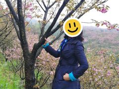 -湖南嵩云山国家森林公园