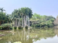 -中国科学院西双版纳热带植物园