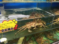 -蚝专家(北滘店)