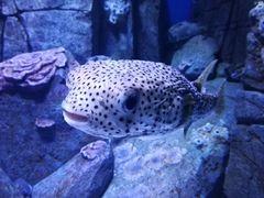 -成都浩海立方海洋公园