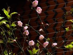 -泉州古城中山街-花桥慈济宫